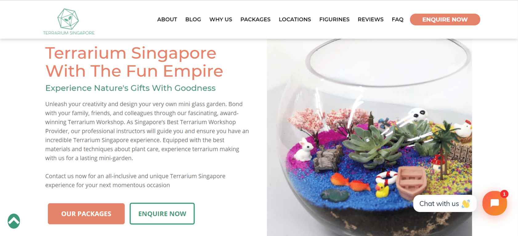 Top 20 Best Terrarium Shops in Singapore