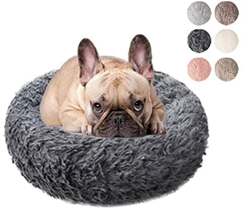pawthread dog bed